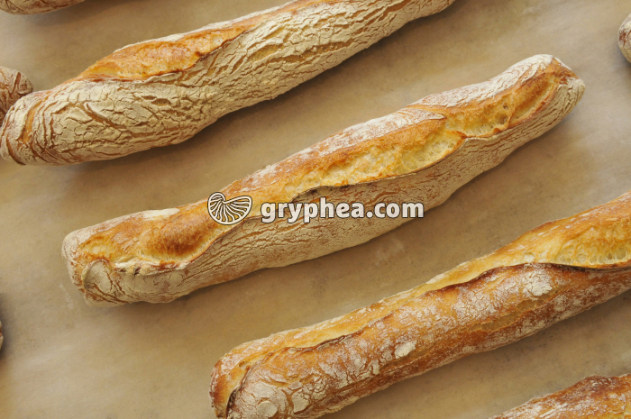 Fabrication du pain - Baguettes au levain sortant du four - gryphea.com